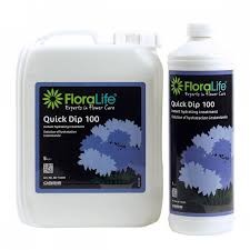 Floralife ® Quick Dip 5 L