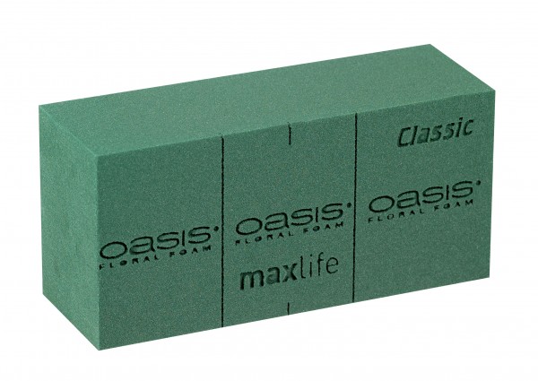 Oasis ® Gąbka Classic Maxlife