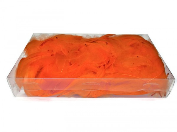 Pióro Pudełko Pomarańcz