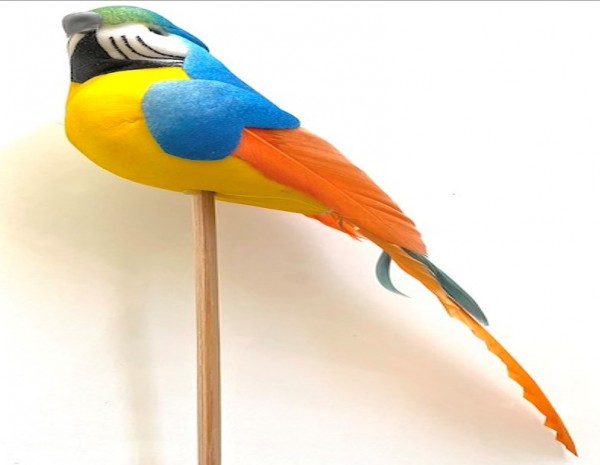 Papuga Na Piku 